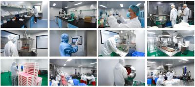 Chongqing Senzern Technology Co., Ltd